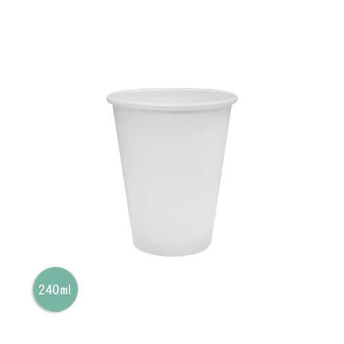 全白冷熱兩用咖啡杯240ml(限箱購)(時價)